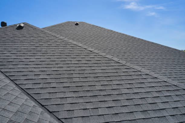 Best Roof Coating Services  in Leesburg, OH